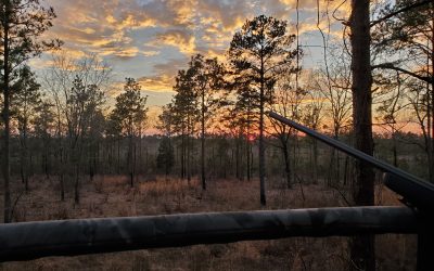 My first predator hunting experience and how it relates to concealed carry